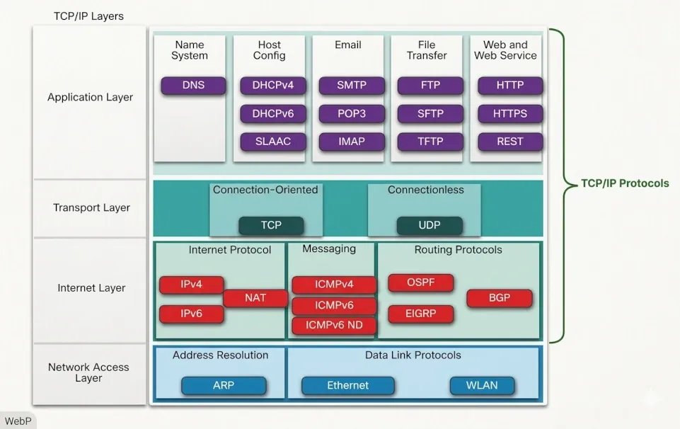 protocols